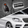 SmartKey Starter? SKS164D